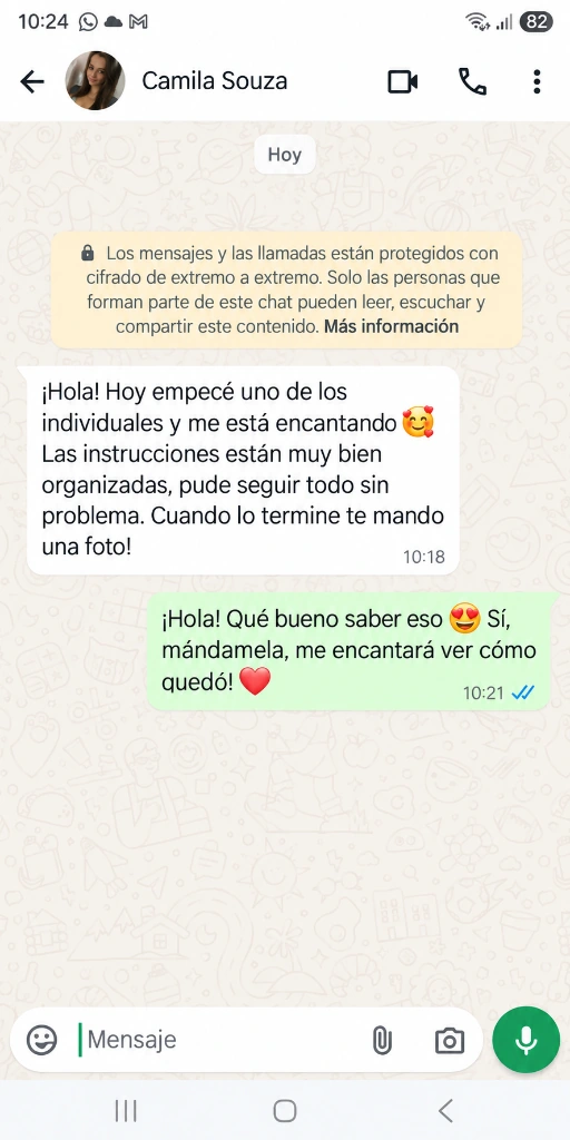 Mensaje de Camila Souza sobre las instrucciones paso a paso